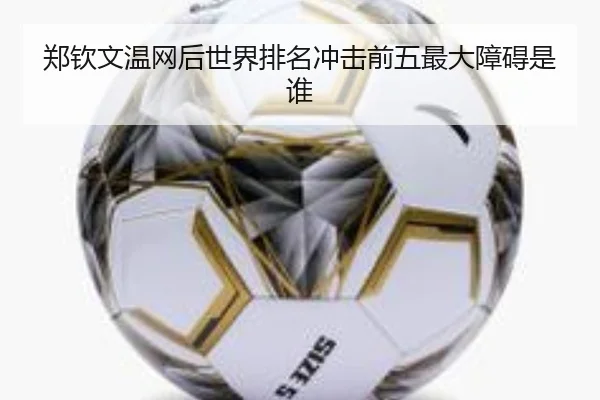 郑钦文温网后世界排名冲击前五最大障碍是谁